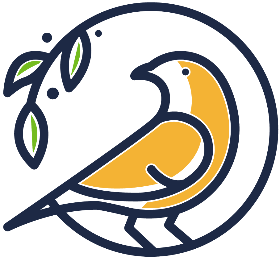 🏡 ¡Novedades en La Torcacita! mejoras y mantenimiento✨